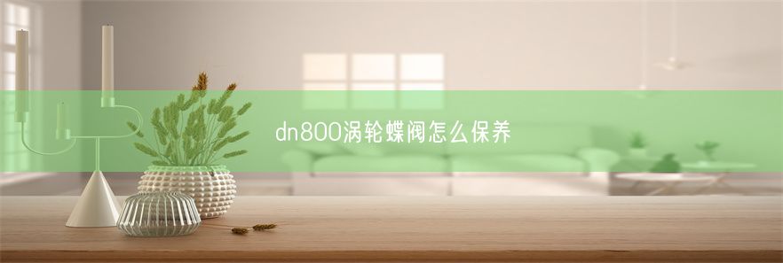 dn800涡轮蝶阀怎么保养