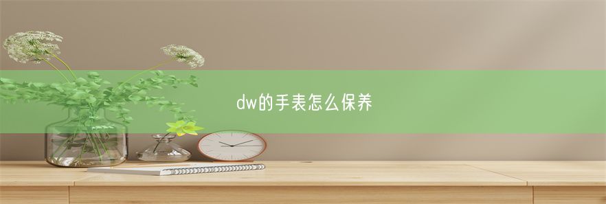 dw的手表怎么保养