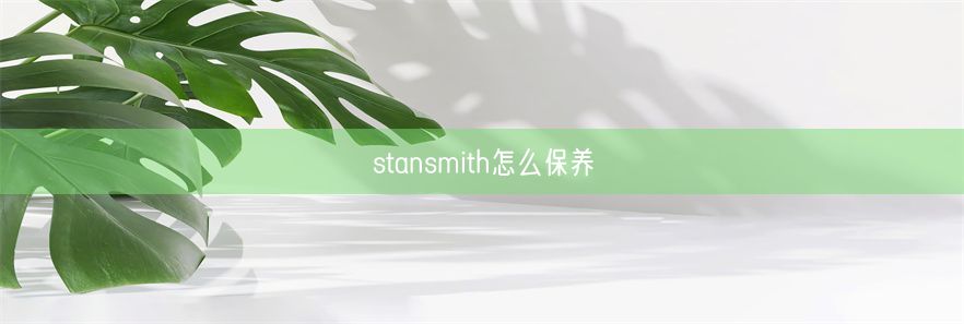 stansmith怎么保养