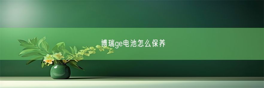 博瑞ge电池怎么保养