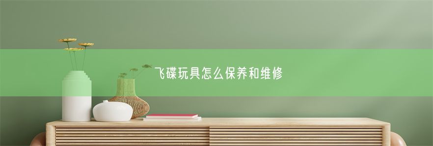 飞碟玩具怎么保养和维修