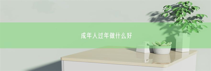 成年人过年做什么好