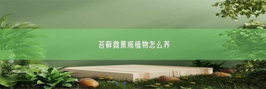 苔藓微景观植物怎么养(图1)