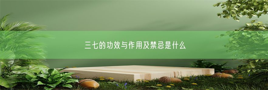 三七的功效与作用及禁忌是什么(图1)