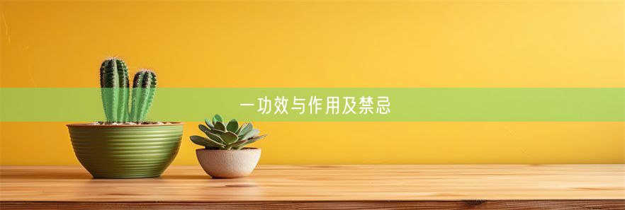 一功效与作用及禁忌