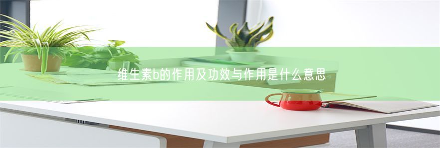 维生素b的作用及功效与作用是什么意思