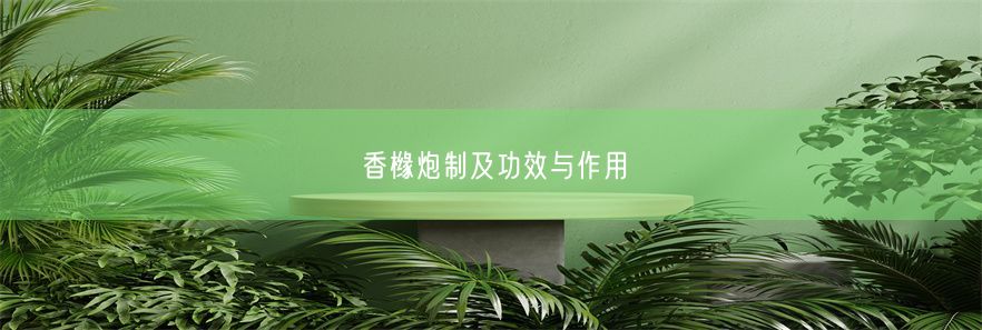 香橼炮制及功效与作用