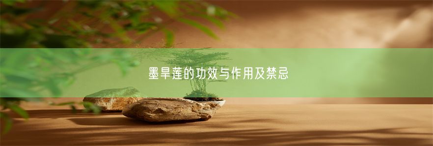 墨旱莲的功效与作用及禁忌