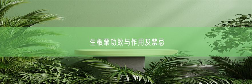 生板粟功效与作用及禁忌(图1)