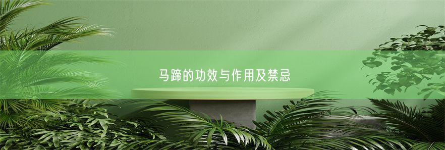 马蹄的功效与作用及禁忌