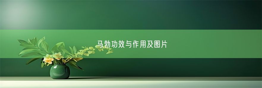 马勃功效与作用及图片(图1)