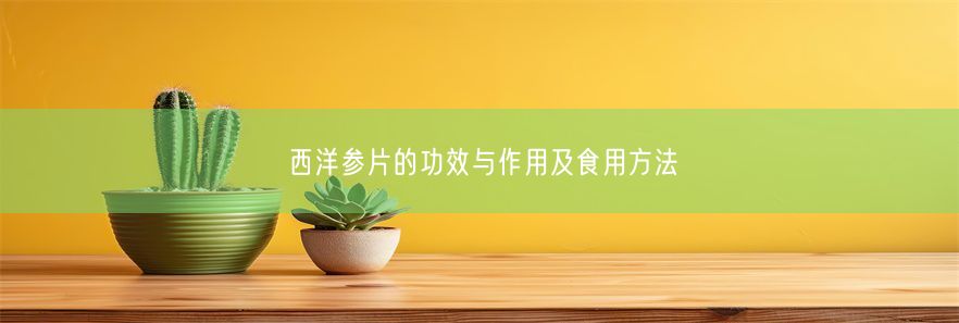 西洋参片的功效与作用及食用方法