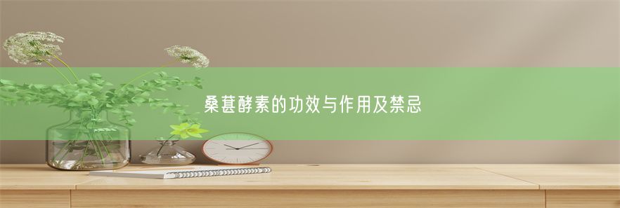 桑葚酵素的功效与作用及禁忌