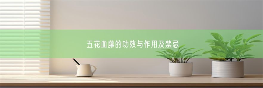 五花血藤的功效与作用及禁忌(图1)