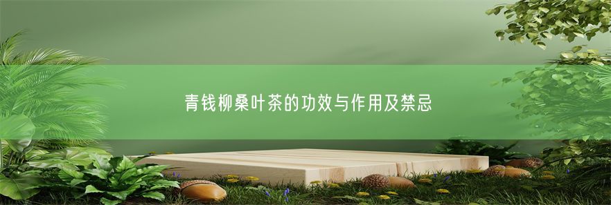 青钱柳桑叶茶的功效与作用及禁忌(图1)