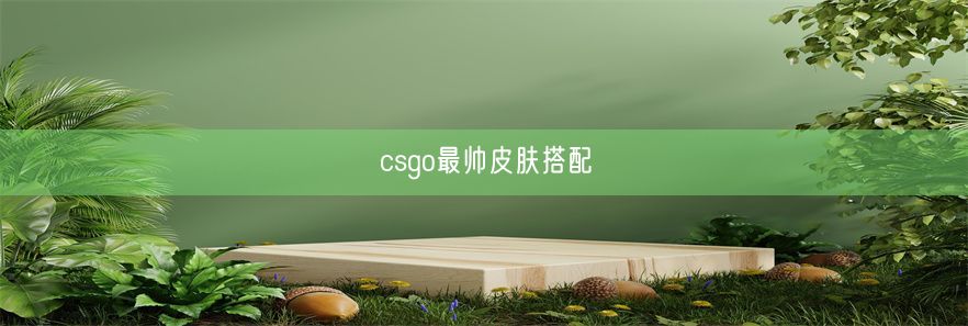 csgo最帅皮肤搭配(图1)